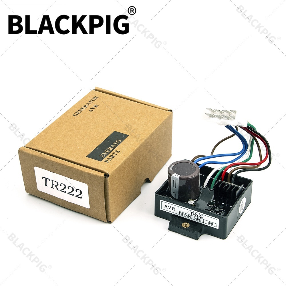 TR222 EG2500 AVR Automatic Vol - Cycloidal Reducer Bldc Motor recension och pris